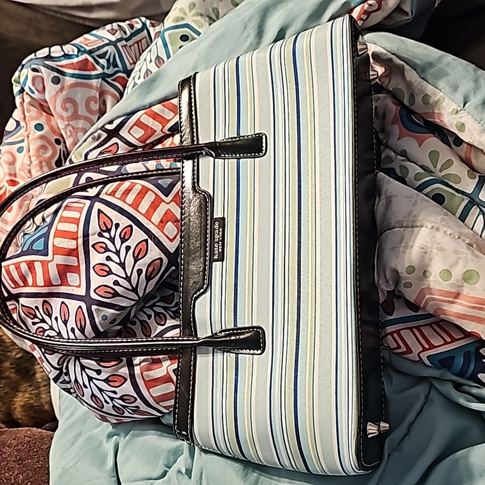 Kate spade striped vintage purse